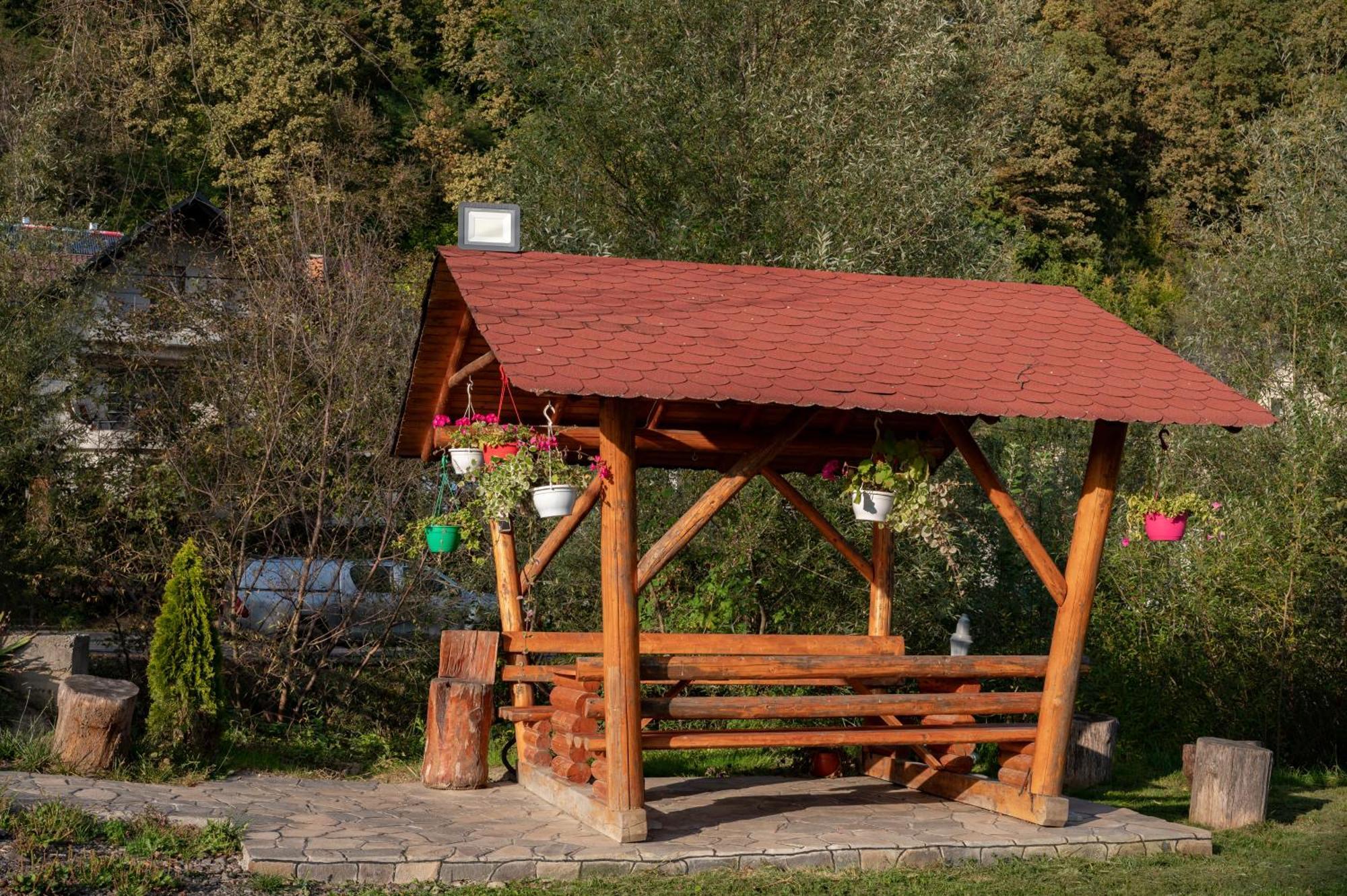 Pensiunea Marinela Sighetu Marmaţiei Esterno foto