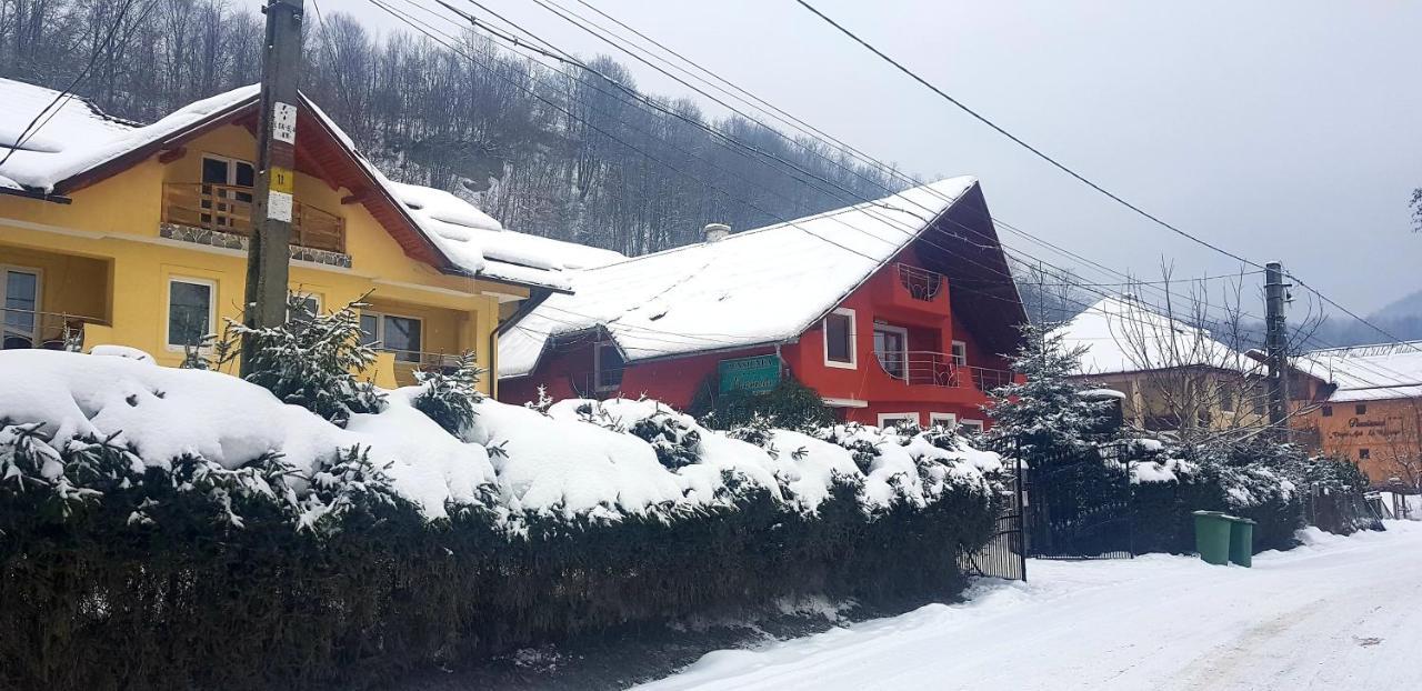 Pensiunea Marinela Sighetu Marmaţiei Esterno foto